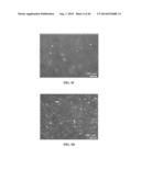 XENO-FREE AND A FEEDER FREE SELF-RENEWAL EXTRACELLULAR MATRIX FOR     LONG-TERM MAINTENANCE OF UNDIFFERENTIATED HUMAN PLURIPOTENT STEM CELLS     AND METHOD OF SYNTHESIZING THE SAME diagram and image