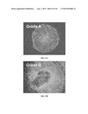 XENO-FREE AND A FEEDER FREE SELF-RENEWAL EXTRACELLULAR MATRIX FOR     LONG-TERM MAINTENANCE OF UNDIFFERENTIATED HUMAN PLURIPOTENT STEM CELLS     AND METHOD OF SYNTHESIZING THE SAME diagram and image