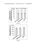 XENO-FREE AND A FEEDER FREE SELF-RENEWAL EXTRACELLULAR MATRIX FOR     LONG-TERM MAINTENANCE OF UNDIFFERENTIATED HUMAN PLURIPOTENT STEM CELLS     AND METHOD OF SYNTHESIZING THE SAME diagram and image