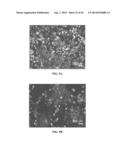 XENO-FREE AND A FEEDER FREE SELF-RENEWAL EXTRACELLULAR MATRIX FOR     LONG-TERM MAINTENANCE OF UNDIFFERENTIATED HUMAN PLURIPOTENT STEM CELLS     AND METHOD OF SYNTHESIZING THE SAME diagram and image