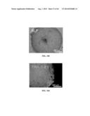 XENO-FREE AND A FEEDER FREE SELF-RENEWAL EXTRACELLULAR MATRIX FOR     LONG-TERM MAINTENANCE OF UNDIFFERENTIATED HUMAN PLURIPOTENT STEM CELLS     AND METHOD OF SYNTHESIZING THE SAME diagram and image