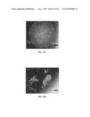 XENO-FREE AND A FEEDER FREE SELF-RENEWAL EXTRACELLULAR MATRIX FOR     LONG-TERM MAINTENANCE OF UNDIFFERENTIATED HUMAN PLURIPOTENT STEM CELLS     AND METHOD OF SYNTHESIZING THE SAME diagram and image