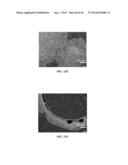 XENO-FREE AND A FEEDER FREE SELF-RENEWAL EXTRACELLULAR MATRIX FOR     LONG-TERM MAINTENANCE OF UNDIFFERENTIATED HUMAN PLURIPOTENT STEM CELLS     AND METHOD OF SYNTHESIZING THE SAME diagram and image