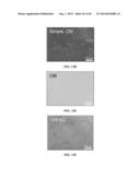 XENO-FREE AND A FEEDER FREE SELF-RENEWAL EXTRACELLULAR MATRIX FOR     LONG-TERM MAINTENANCE OF UNDIFFERENTIATED HUMAN PLURIPOTENT STEM CELLS     AND METHOD OF SYNTHESIZING THE SAME diagram and image