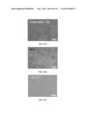 XENO-FREE AND A FEEDER FREE SELF-RENEWAL EXTRACELLULAR MATRIX FOR     LONG-TERM MAINTENANCE OF UNDIFFERENTIATED HUMAN PLURIPOTENT STEM CELLS     AND METHOD OF SYNTHESIZING THE SAME diagram and image