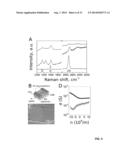 FABRICATION OF GRAPHENE NANORIBBONS AND NANOWIRES diagram and image