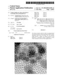 STABLE OXIDE ENCAPSULATED METAL CLUSTERS AND NANOPARTICLES diagram and image