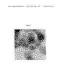 STABLE OXIDE ENCAPSULATED METAL CLUSTERS AND NANOPARTICLES diagram and image