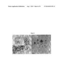 STABLE OXIDE ENCAPSULATED METAL CLUSTERS AND NANOPARTICLES diagram and image