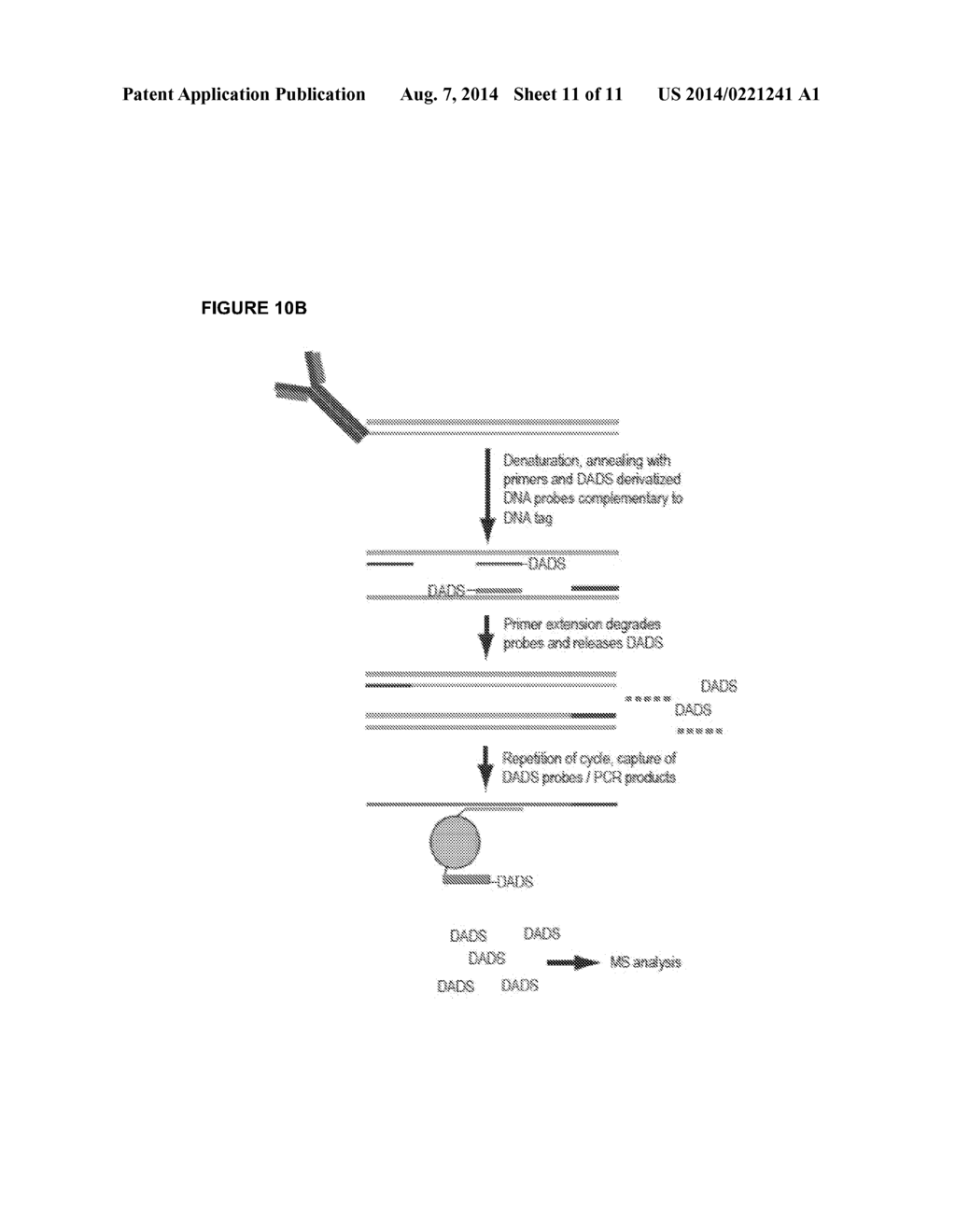 Mass Dots: Nanoparticle Isotope Tags - diagram, schematic, and image 12