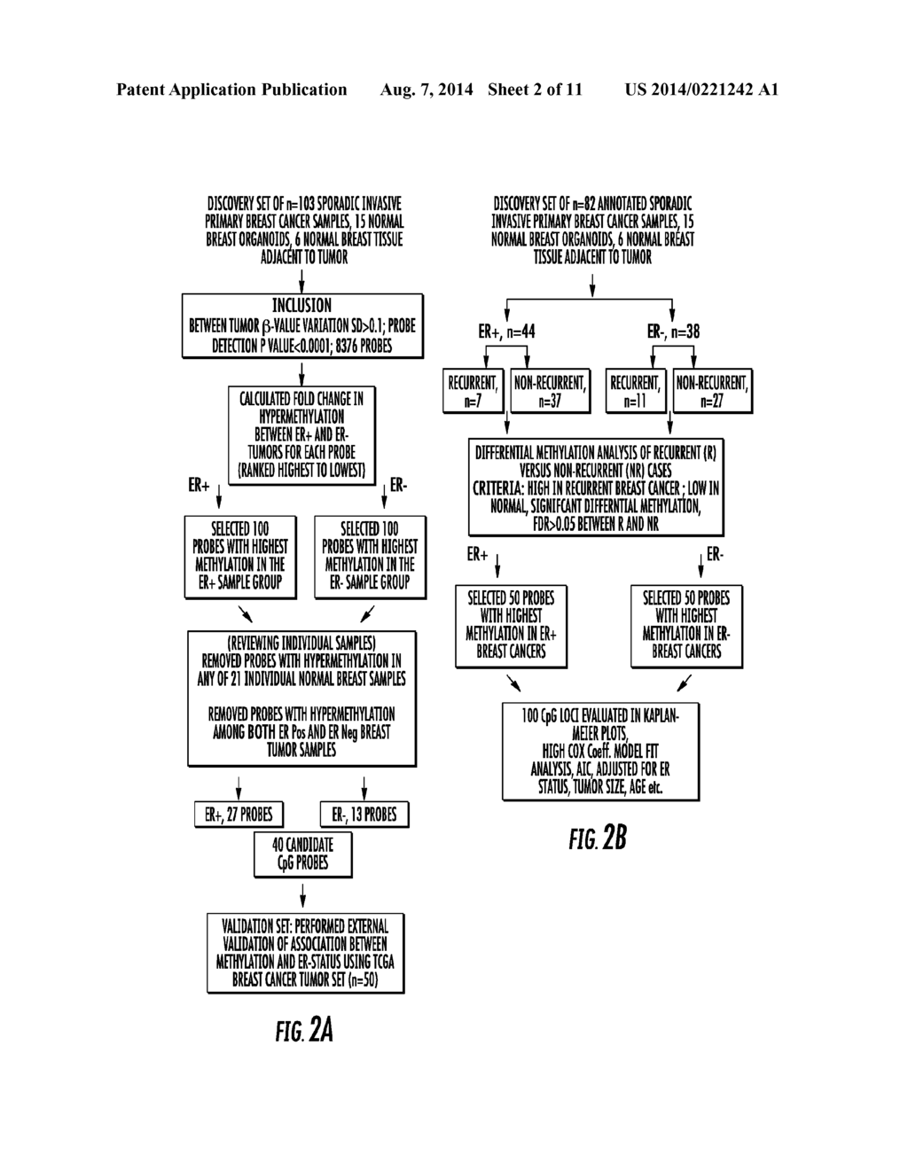 GENOME-WIDE METHYLATION ANALYSIS AND USE TO IDENTIFY GENES SPECIFIC TO     BREAST CANCER HORMONE RECEPTOR STATUS AND RISK OF RECURRANCE - diagram, schematic, and image 03