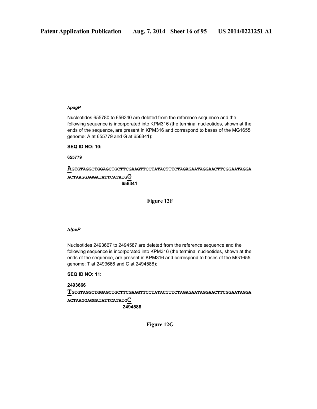 VIABLE GRAM NEGATIVE BACTERIA WITH REDUCED PROTEOLYTIC ACTIVITY LACKING     OUTER MEMBRANE AGONISTS OF TLR4/MD-2 - diagram, schematic, and image 17