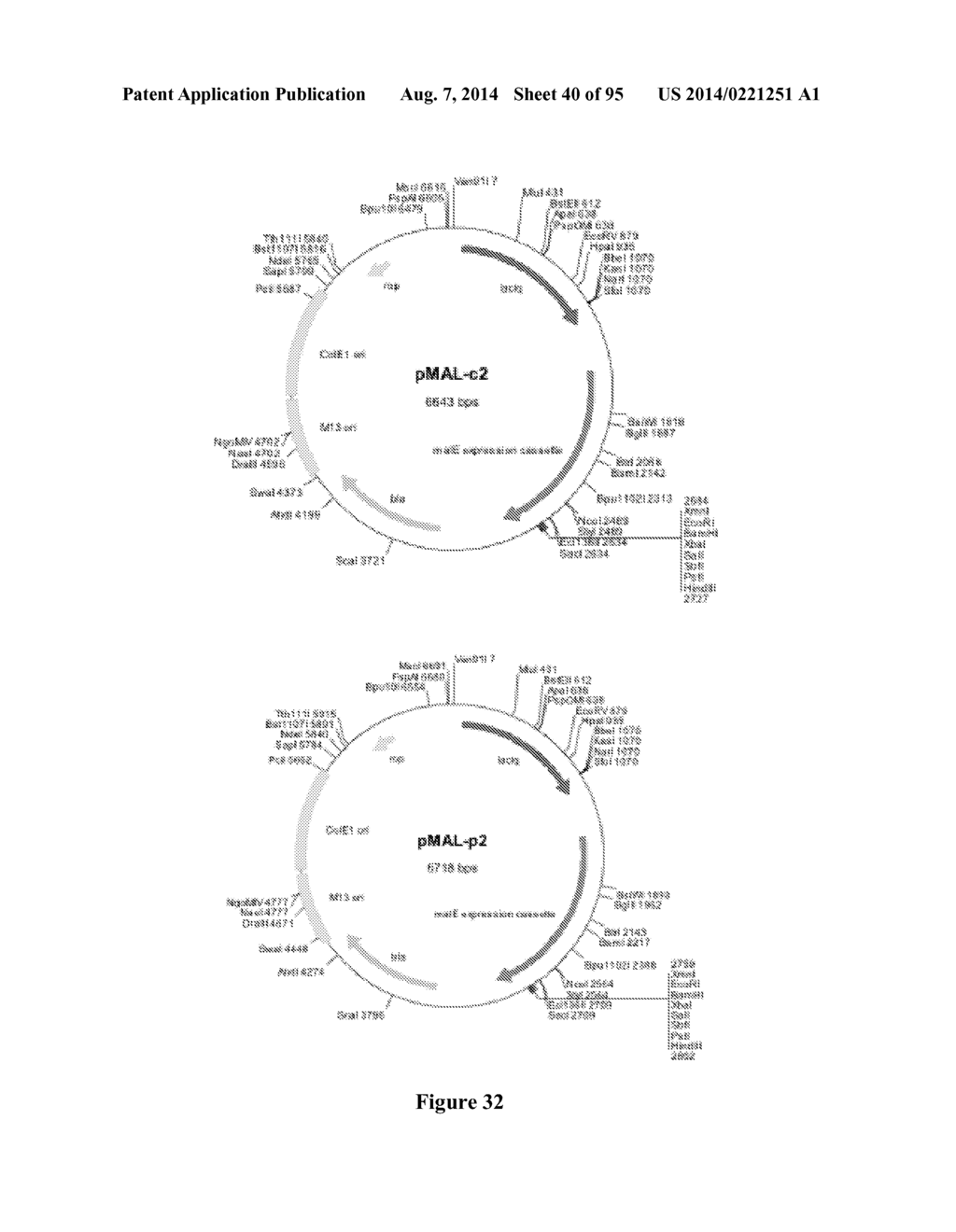 VIABLE GRAM NEGATIVE BACTERIA WITH REDUCED PROTEOLYTIC ACTIVITY LACKING     OUTER MEMBRANE AGONISTS OF TLR4/MD-2 - diagram, schematic, and image 41