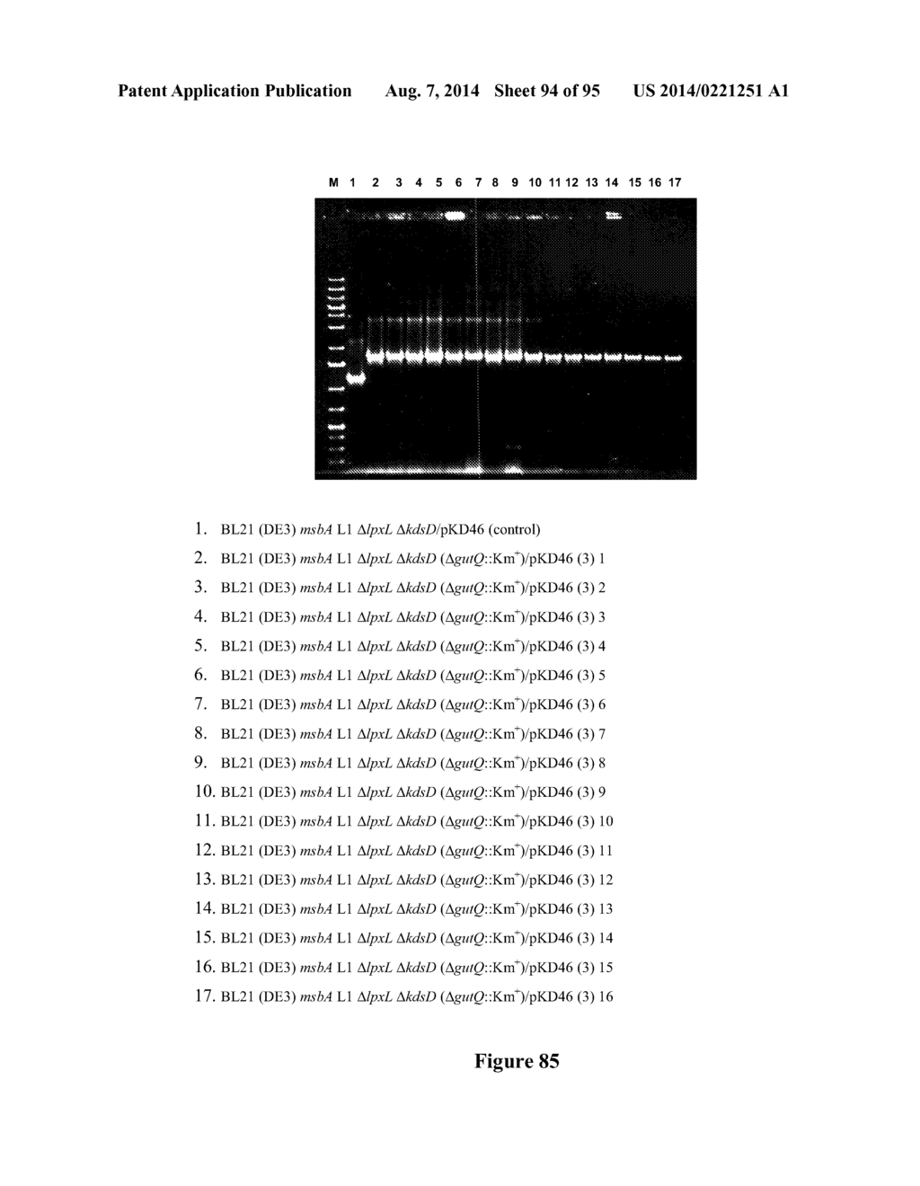 VIABLE GRAM NEGATIVE BACTERIA WITH REDUCED PROTEOLYTIC ACTIVITY LACKING     OUTER MEMBRANE AGONISTS OF TLR4/MD-2 - diagram, schematic, and image 95