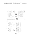 Method for Large-Scale Synthesis of Long-Chain Nucleic Acid Molecule diagram and image