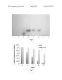 Methoxypolyethyleneglycol succinimidyl propionate modified recombinant     ganoderma immunoregulatory protein, preparing method and application     thereof diagram and image