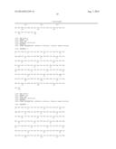 MODIFIED BINDING PROTEINS INHIBITING THE VEGF-A RECEPTOR INTERACTION diagram and image