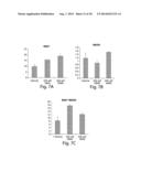 Small Molecule CD38 Inhibitors and Methods of Using Same diagram and image