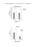 Small Molecule CD38 Inhibitors and Methods of Using Same diagram and image