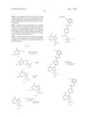 BTK INHIBITORS diagram and image