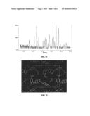 HYDROBENZAMIDE DERIVATIVES AS INHIBITORS OF HSP90 diagram and image