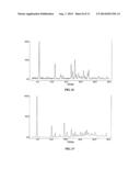 HYDROBENZAMIDE DERIVATIVES AS INHIBITORS OF HSP90 diagram and image