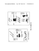 THERAPEUTIC COMPOUNDS AND METHODS diagram and image