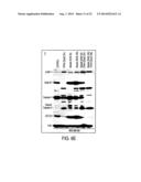 THERAPEUTIC COMPOUNDS AND METHODS diagram and image