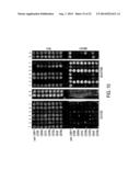 THERAPEUTIC COMPOUNDS AND METHODS diagram and image