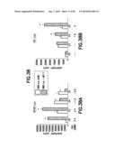 Method of Diagnosis or Prognosis of a Neoplasm Comprising Determining the     Level of Expression of a Protein in Stromal Cells Adjacent to the     Neoplasm diagram and image