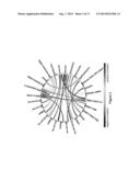 Methods of Diagnosing Neuropathic Pain diagram and image