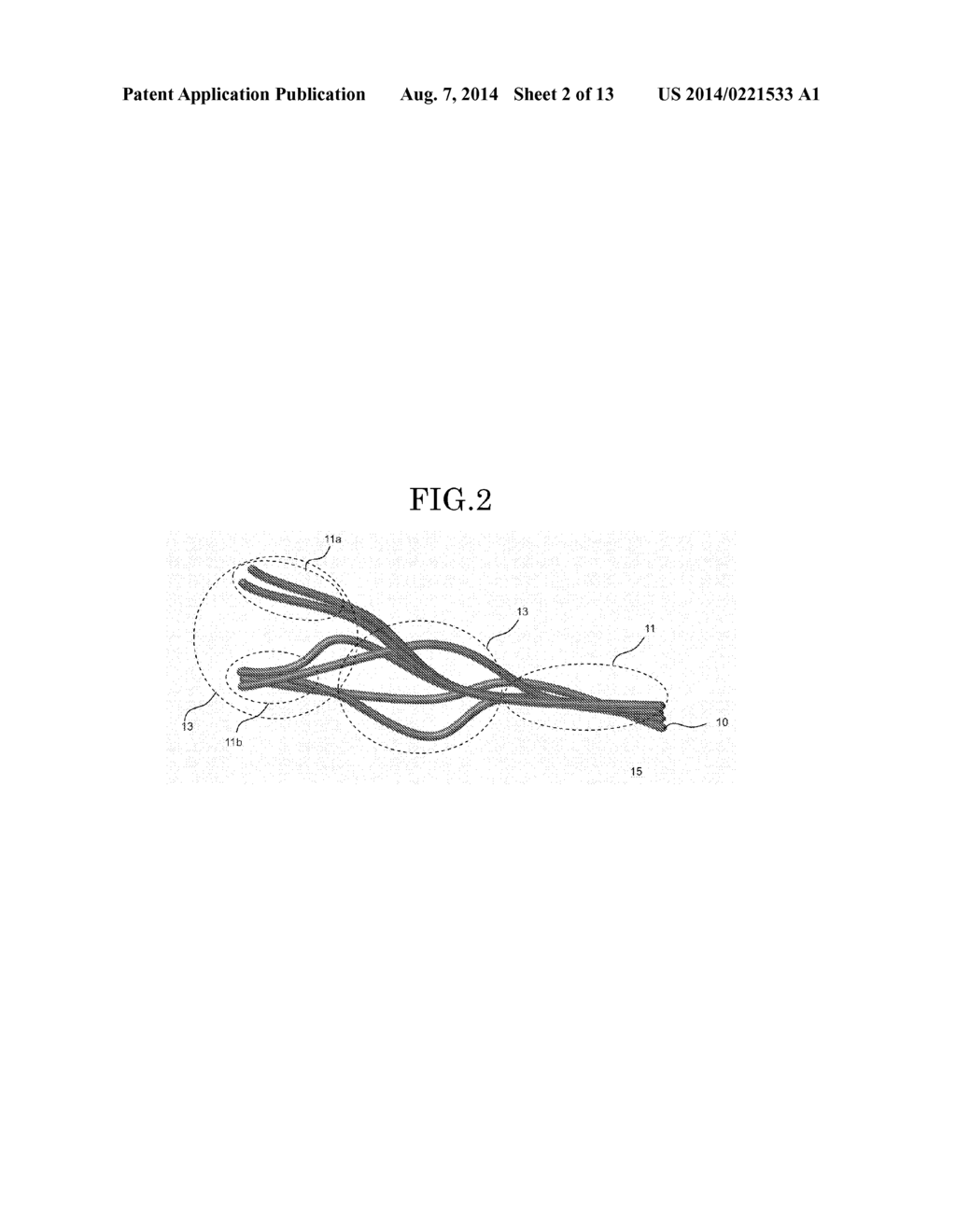 CARBON NANOTUBE COMPOSITE MATERIAL AND THERMAL CONDUCTOR - diagram, schematic, and image 03