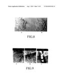 Method for Modifying Surface Properties with Nanostructured Chemicals diagram and image