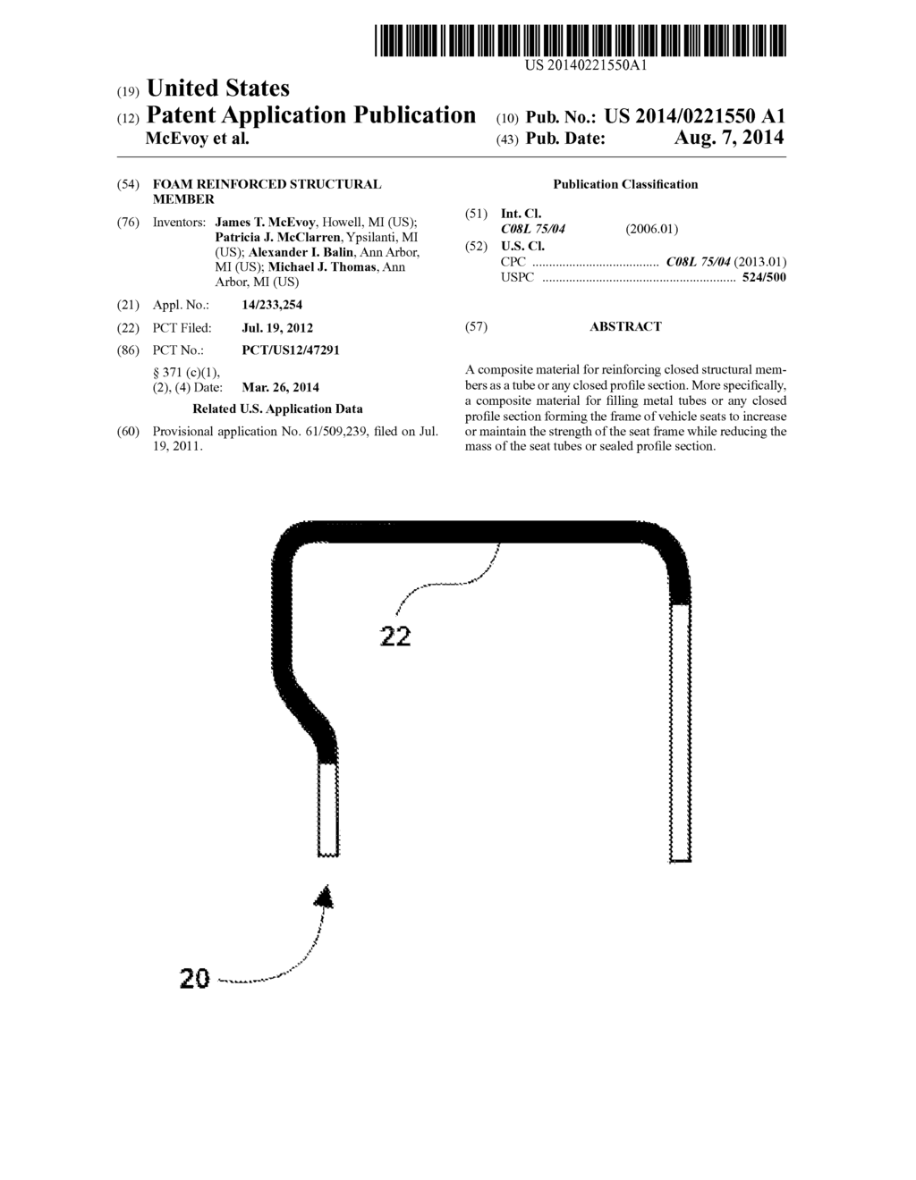 Foam Reinforced Structural Member - diagram, schematic, and image 01