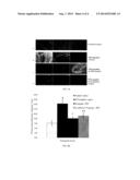 SYNTHESIS AND BIOLOGICAL STUDIES OF AN ISOMERIC MIXTURE OF (E/Z)     ISOXYLITONES AND ITS ANALOGUES diagram and image