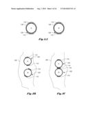 Self Assembly of In-Vivo Capsule System diagram and image