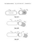 Self Assembly of In-Vivo Capsule System diagram and image