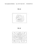 ENDOSCOPE SYSTEM AND IMAGE GENERATION METHOD diagram and image