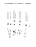 OPTICAL COHERENCE TOMOGRAPHY PROBE diagram and image