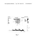 ULTRASOUND SYSTEM WITH AUTOMATED DOPPLER FLOW SETTINGS diagram and image