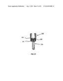 Polyaxial Screw diagram and image