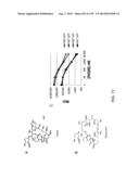 OPLOPHORUS-DERIVED LUCIFERASES, NOVEL COELENTERAZINE SUBSTRATES, AND     METHODS OF USE diagram and image