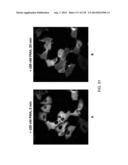 OPLOPHORUS-DERIVED LUCIFERASES, NOVEL COELENTERAZINE SUBSTRATES, AND     METHODS OF USE diagram and image