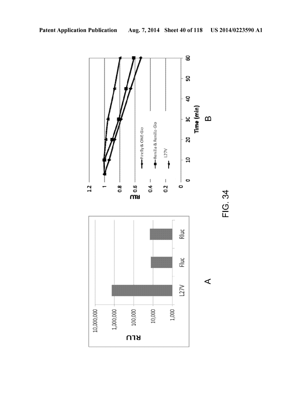 OPLOPHORUS-DERIVED LUCIFERASES, NOVEL COELENTERAZINE SUBSTRATES, AND     METHODS OF USE - diagram, schematic, and image 41