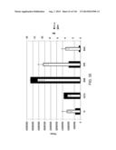 OPLOPHORUS-DERIVED LUCIFERASES, NOVEL COELENTERAZINE SUBSTRATES, AND     METHODS OF USE diagram and image