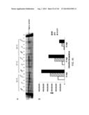 OPLOPHORUS-DERIVED LUCIFERASES, NOVEL COELENTERAZINE SUBSTRATES, AND     METHODS OF USE diagram and image