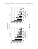 OPLOPHORUS-DERIVED LUCIFERASES, NOVEL COELENTERAZINE SUBSTRATES, AND     METHODS OF USE diagram and image