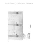 OPLOPHORUS-DERIVED LUCIFERASES, NOVEL COELENTERAZINE SUBSTRATES, AND     METHODS OF USE diagram and image