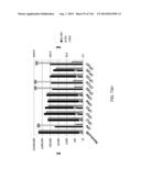 OPLOPHORUS-DERIVED LUCIFERASES, NOVEL COELENTERAZINE SUBSTRATES, AND     METHODS OF USE diagram and image