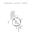 DROUGHT TOLERANT PLANTS AND RELATED CONSTRUCTS AND METHODS INVOLVING GENES     ENCODING DTP6 POLYPEPTIDES diagram and image